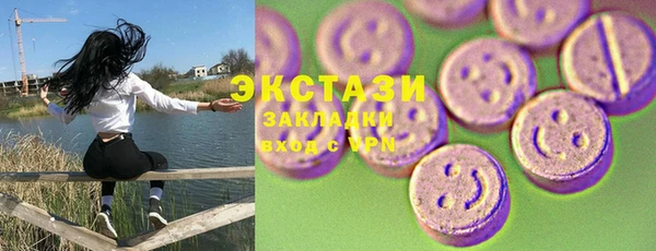 ECSTASY Бородино